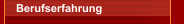Berufserfahrung