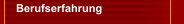 Berufserfahrung